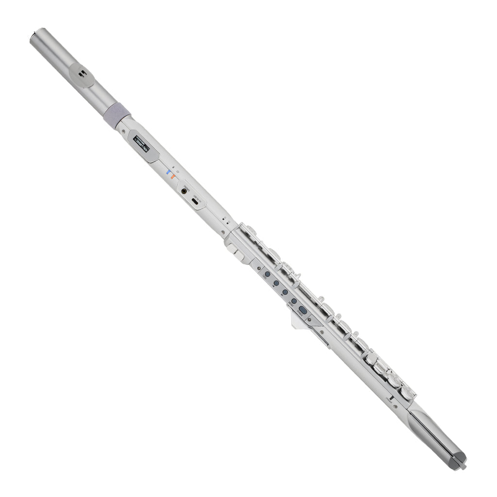 Roland Aerophone Brisa Digital Wind Instrument Digital Wind Instruments Sky Music