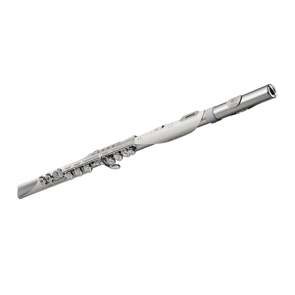 Roland Aerophone Brisa Digital Wind Instrument Digital Wind Instruments Sky Music