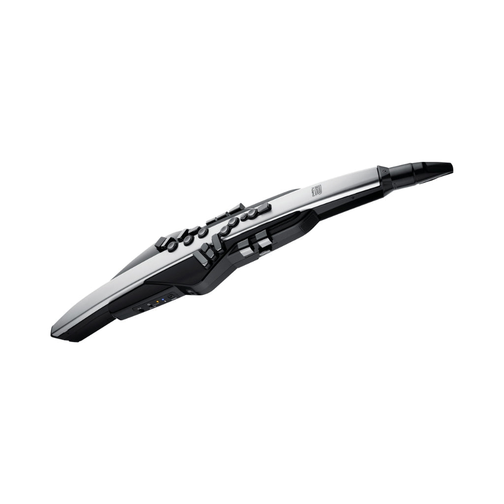 Roland Aerophone Pro AE-30 Digital Wind Instrument - Silver Wood Wind Sky Music