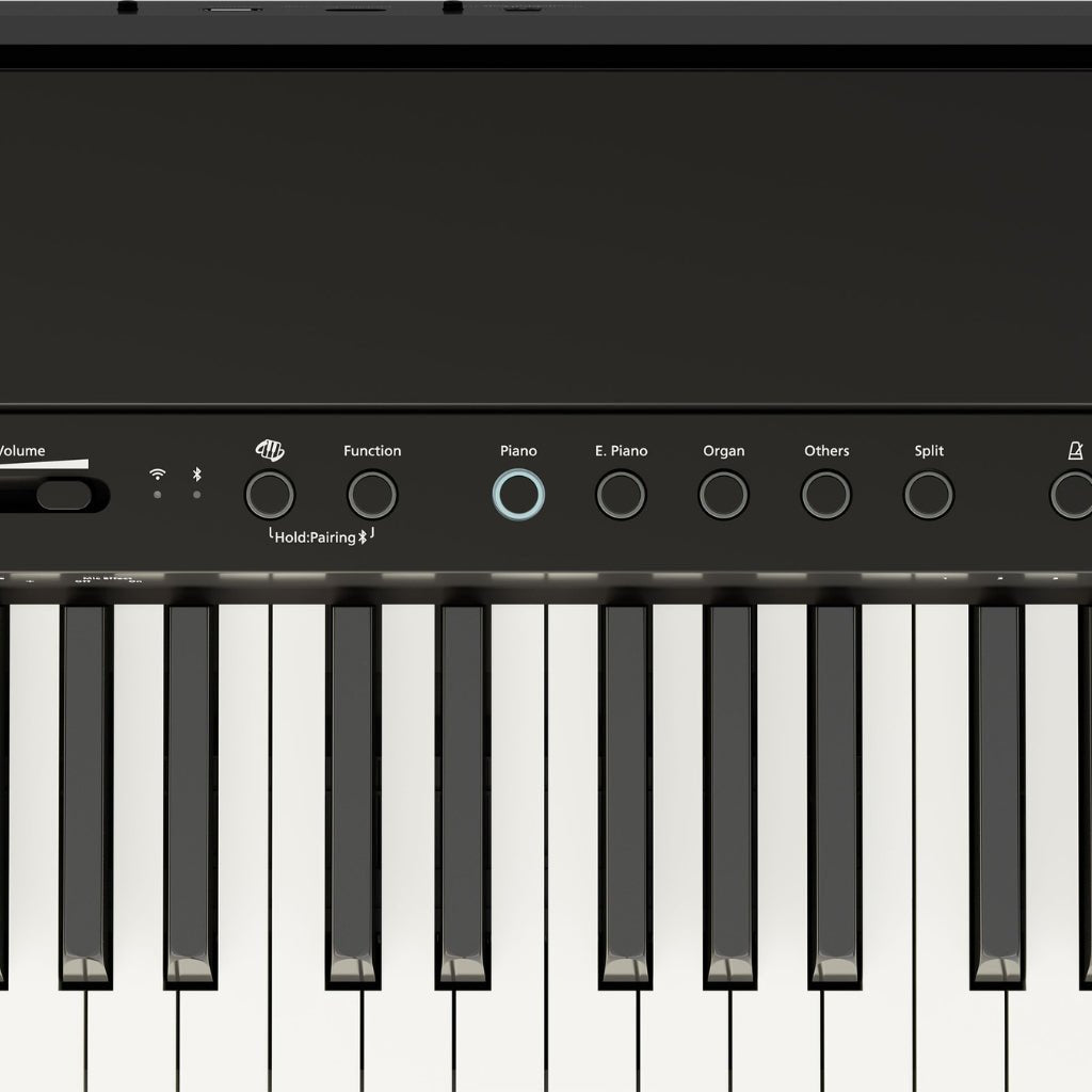 Roland FP40 88-Key Digital Piano - Black Digital Pianos Sky Music