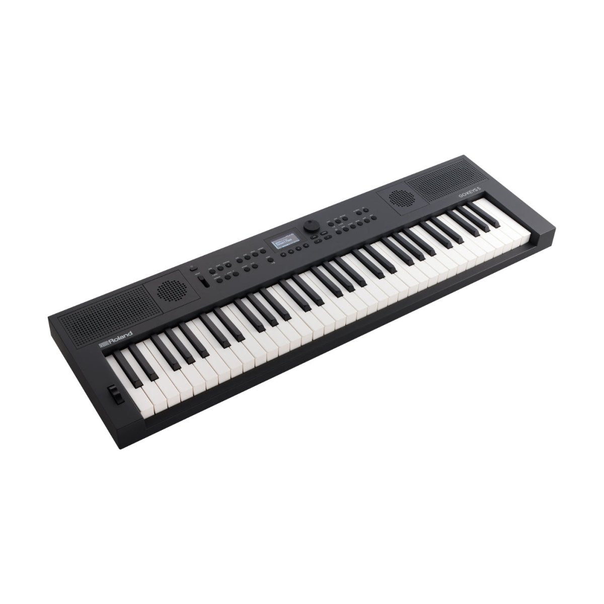 Roland GO:KEYS 5 Graphite Keyboards Sky Music