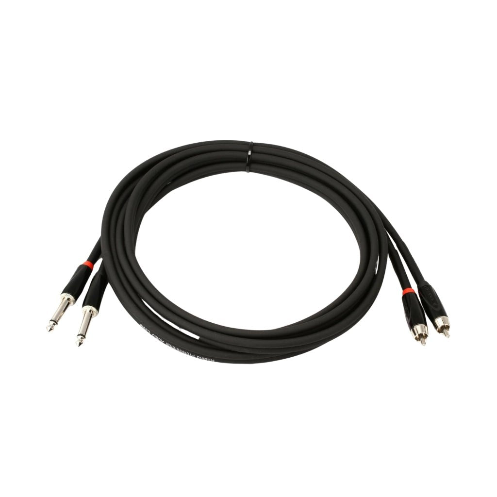 Roland RCC-10-2R28 2RCA to 2TS Interconnect Cable 10ft Cables Sky Music