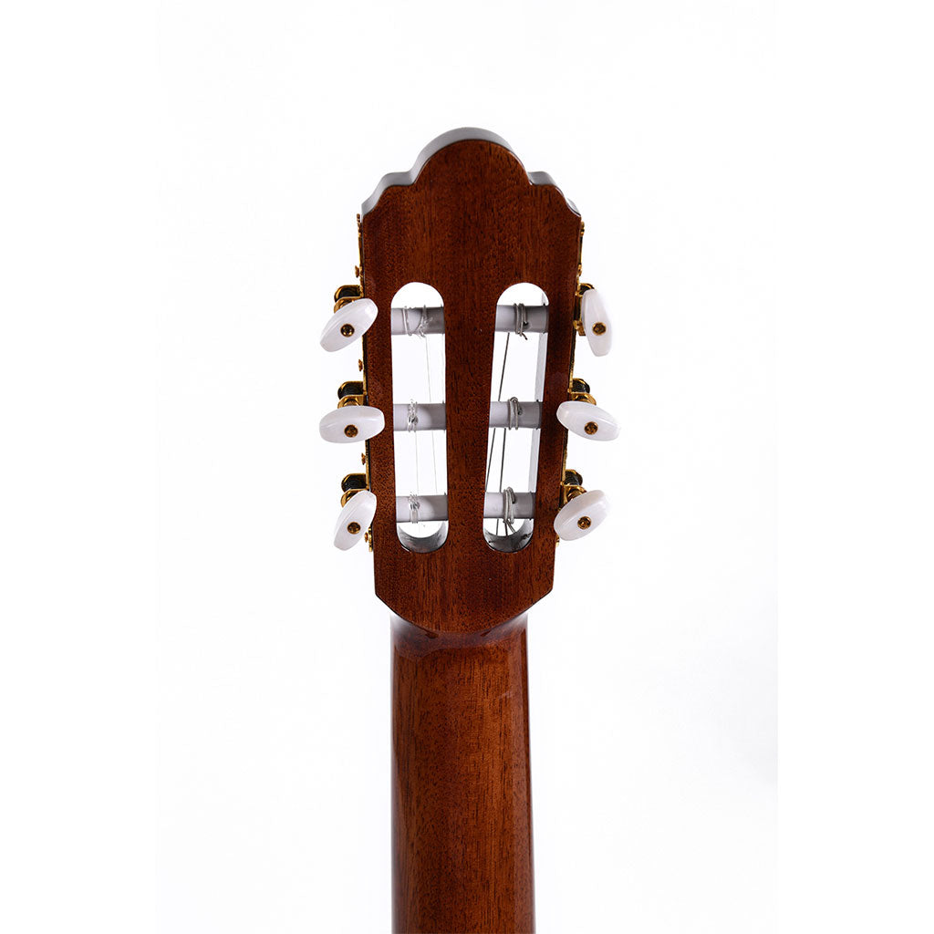Sigma CTMC2E Classical Cutaway with EQ