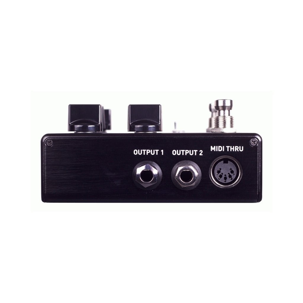 Source Audio Encounter Ambient Delay/Reverb Pedal Effects Pedals Sky Music
