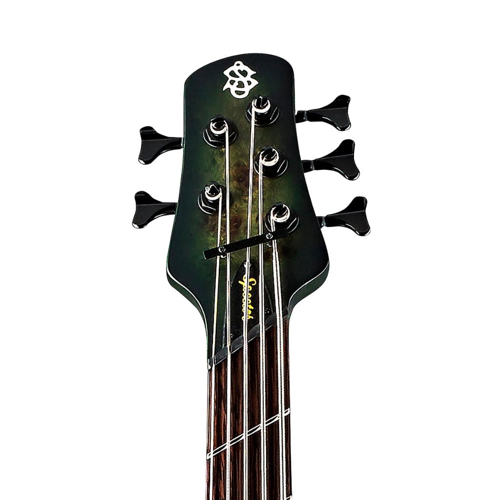 Spector Dimension 5 M/S Left Hand Bass Guitar - Haunted Moss Bass Guitars Sky Music