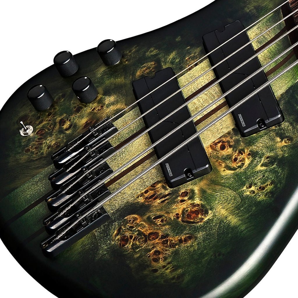 Spector Dimension 5 M/S Left Hand Bass Guitar - Haunted Moss Bass Guitars Sky Music
