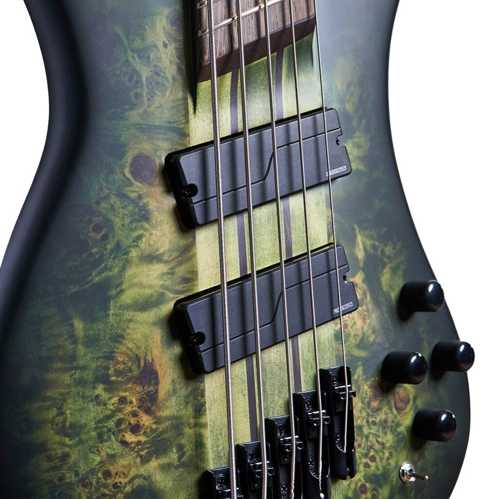 Spector Dimension Multiscale 5 String Bass - Haunted Moss Bass Guitars Sky Music