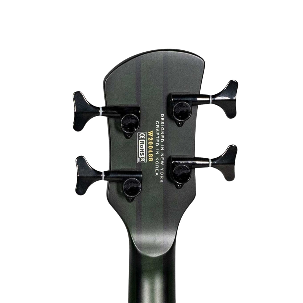 Spector Dimension Multiscale Bass - 4 Haunted Moss Bass Guitars Sky Music