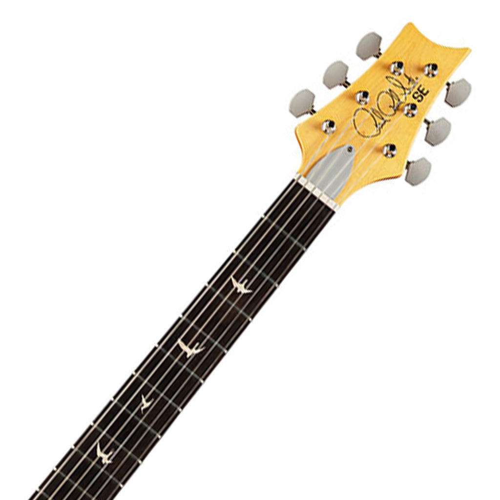 PRS SE John Mayer Silver Sky Ever Green