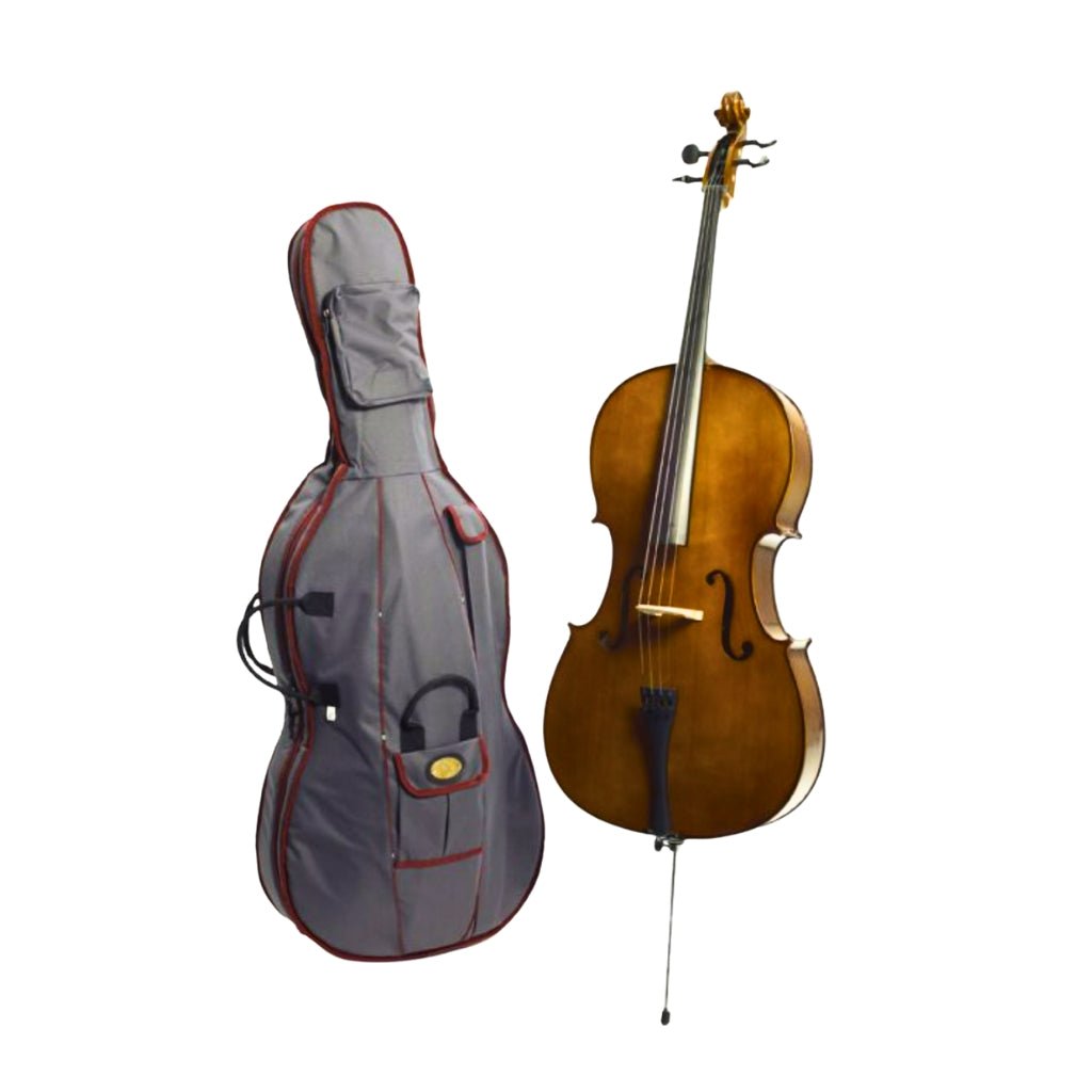 Stentor Student Cello 2 Satin - 4/4 Bowed Instrument Strings Sky Music