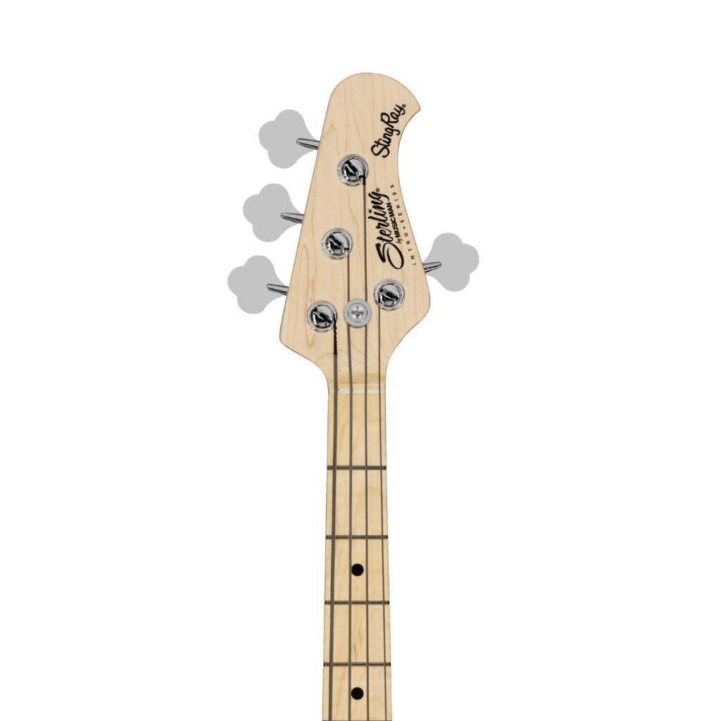 Sterling by Music Man Ray2 StingRay Bass - Black with Maple Neck Bass Guitars Sky Music
