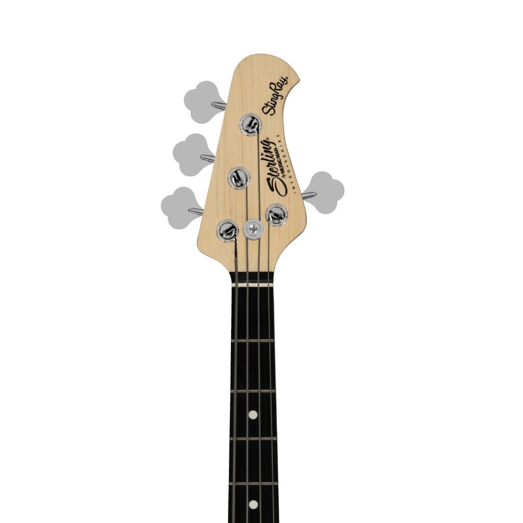 Sterling by Music Man Ray2 StingRay Bass - Electric Blue with Amaranth Neck Bass Guitars Sky Music