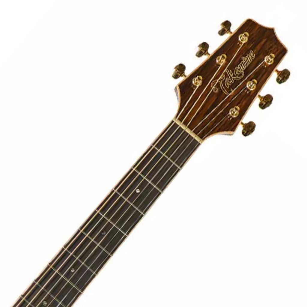 Takamine TGD90CEMDNAT Acoustic Guitar Acoustic Guitars Sky Music