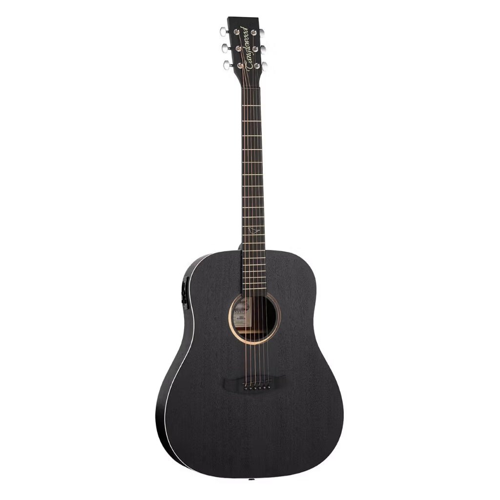 Tanglewood TB5-SE Blackbird Slope Shoulder Dreadnought Acoustic-Electric Guitar Acoustic Guitars Sky Music