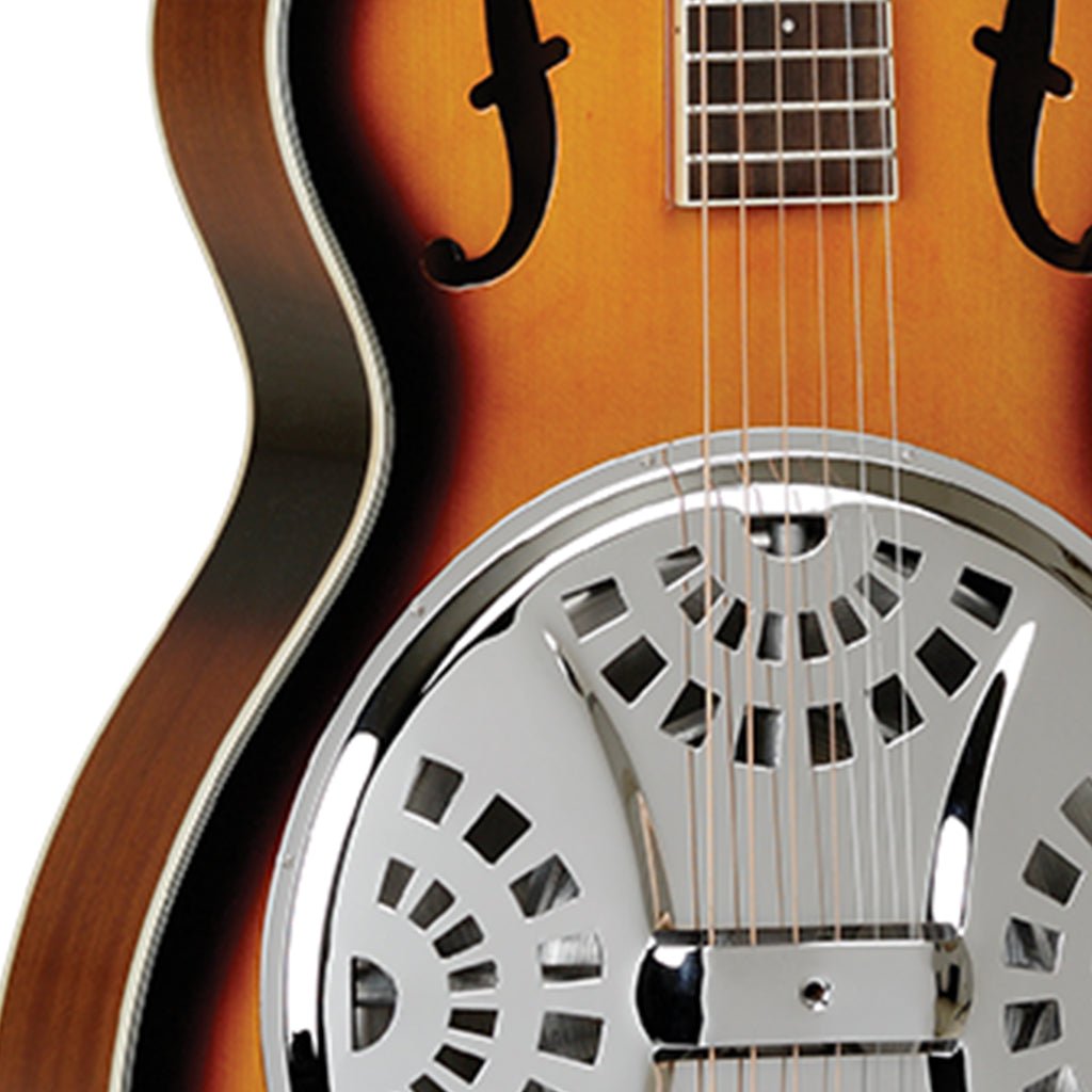 Tanglewood TWD1 Resonator Resonators Sky Music