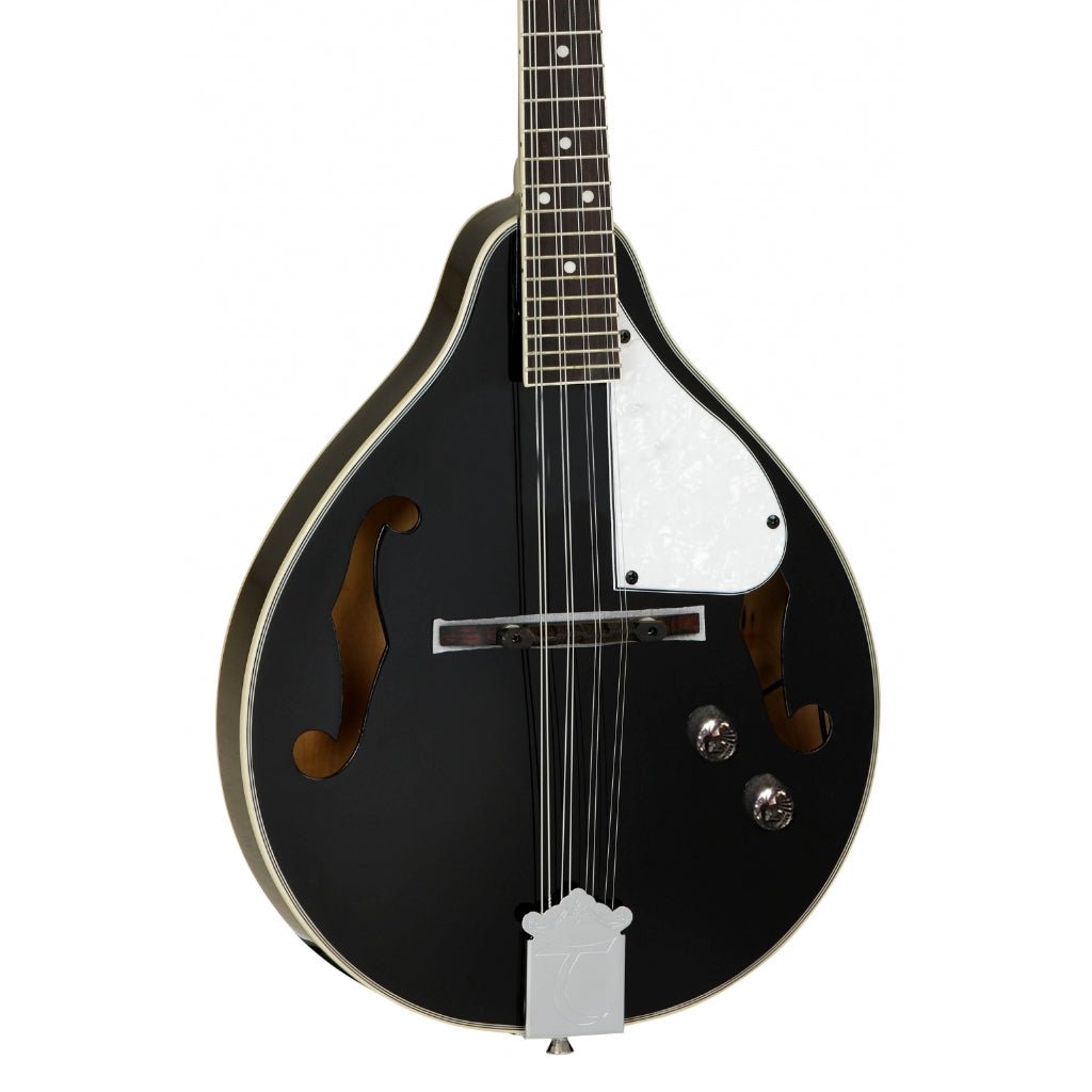 Tanglewood TWMTBKPE Union Series Mandolin - Black Mandolins Sky Music