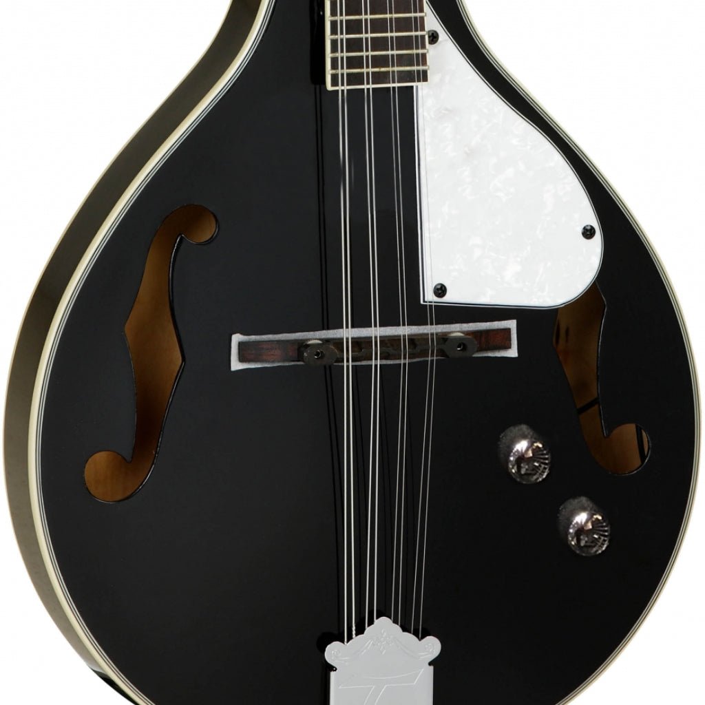 Tanglewood TWMTBKPE Union Series Mandolin - Black Mandolins Sky Music