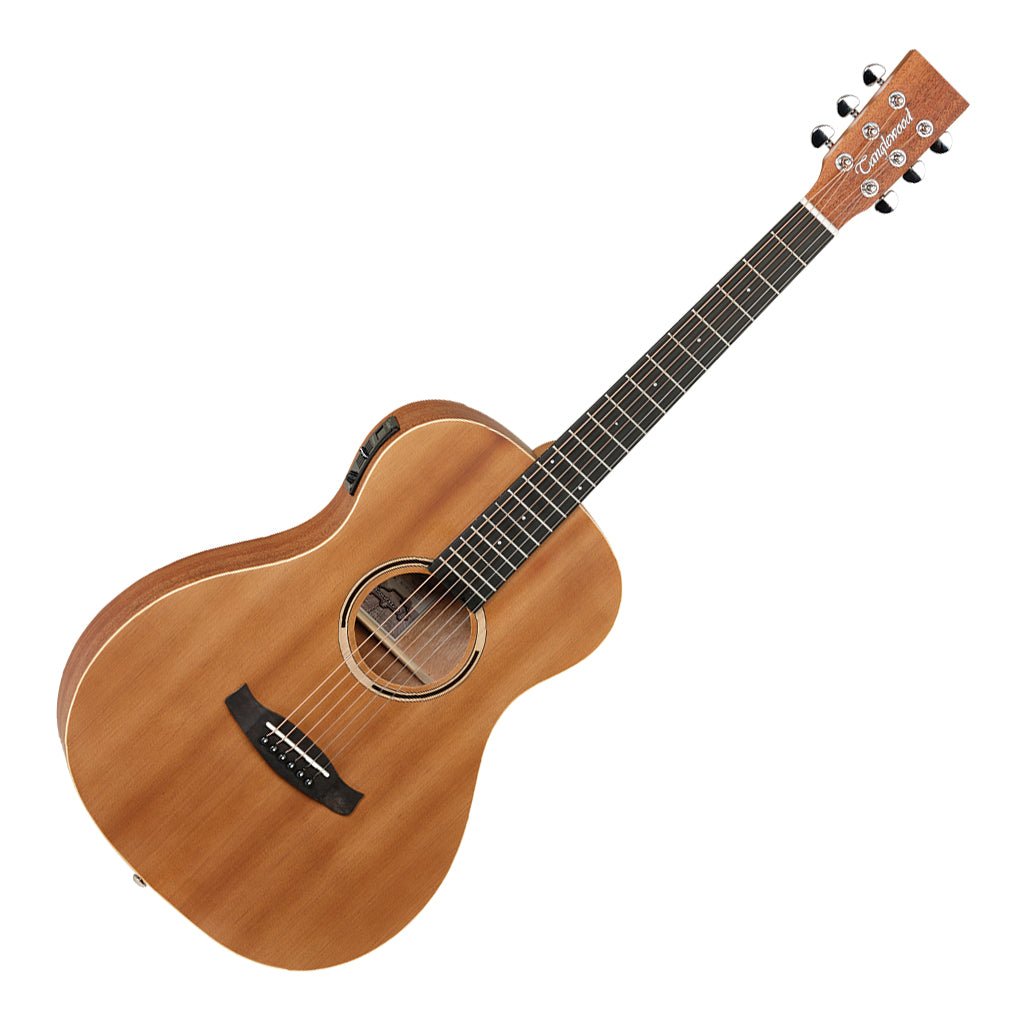 Tanglewood TWR2PE Roadster II Parlour With Pickup Acoustic Guitars Sky Music