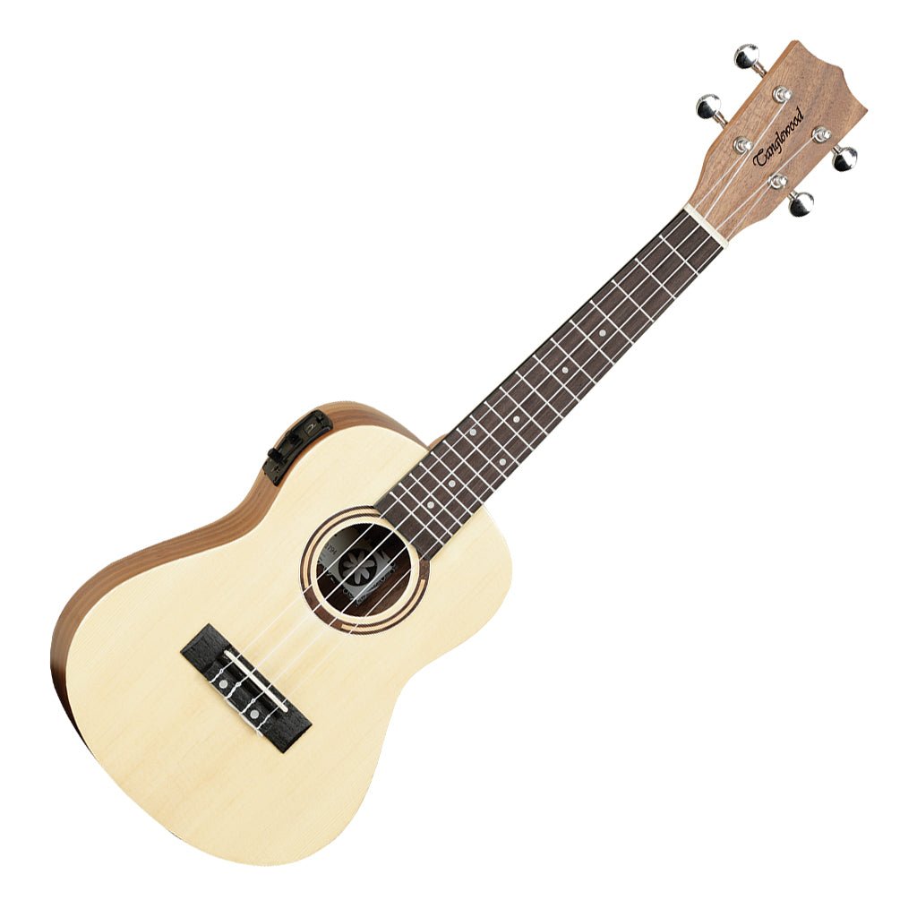 Tanglewood TWT9EB Tiare Concert Ukulele with Pickup Spruce Koa with Gig Bag Ukuleles Sky Music