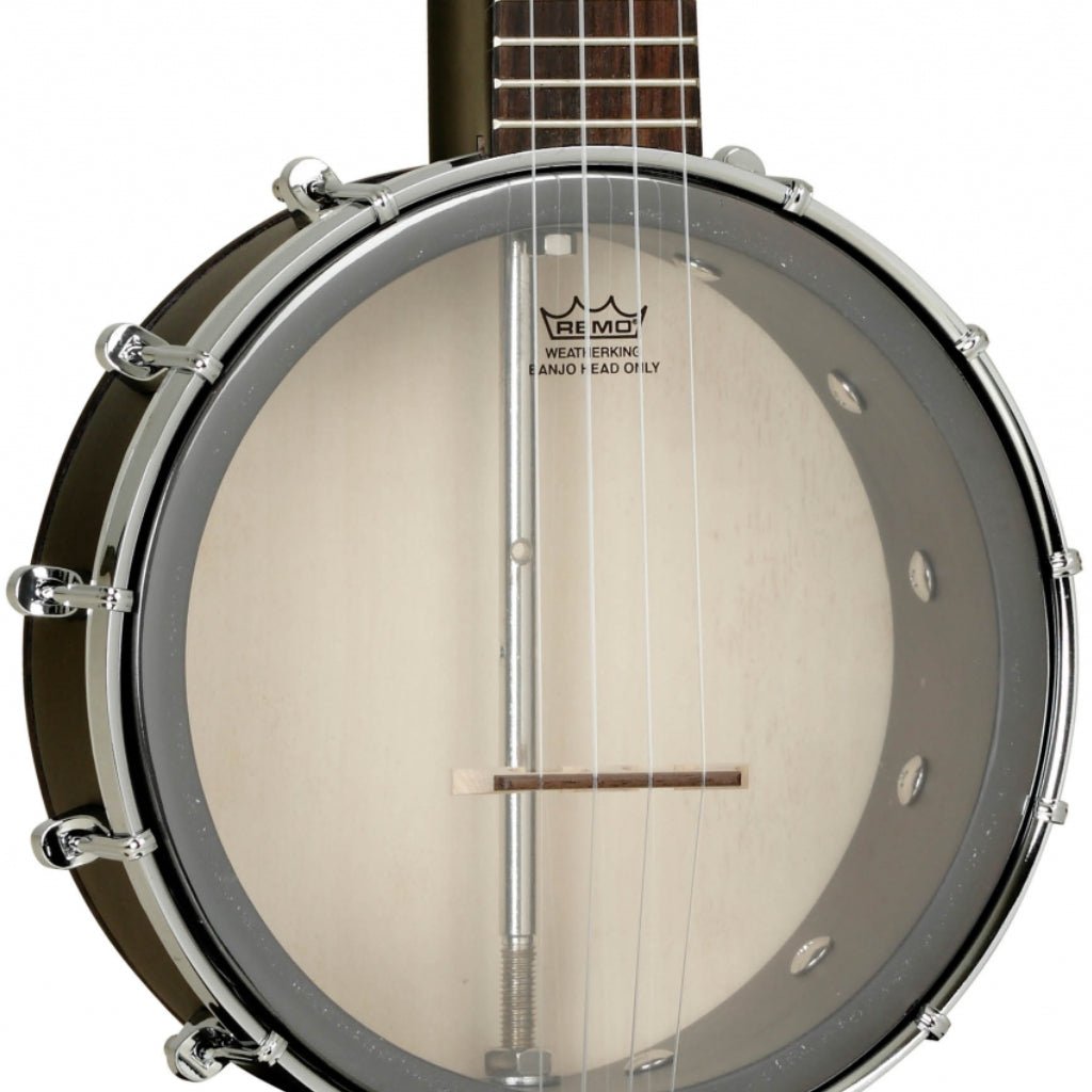 Tanglewood Union Series TWBU Ukulele Banjo - Tobacco Sunburst Banjos Sky Music