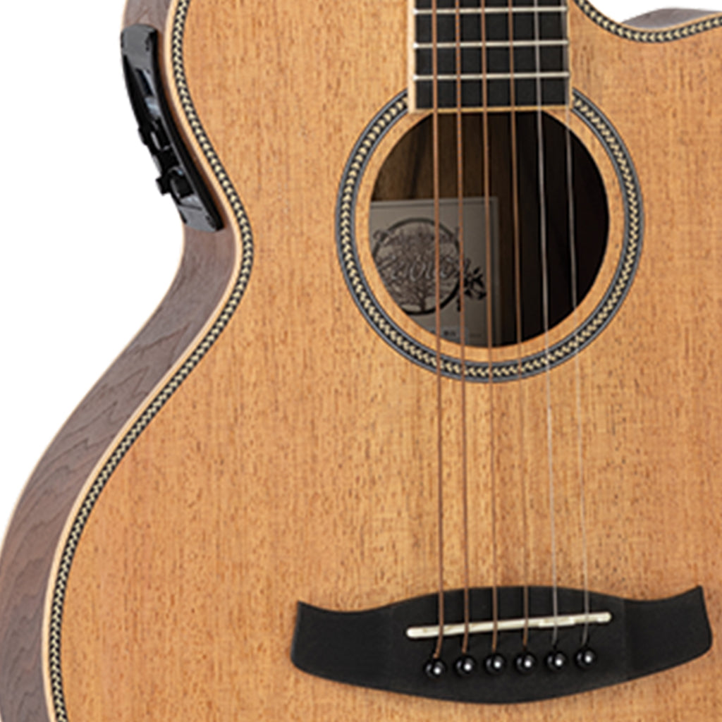 Tanglewood TRU2 CE BW Reunion Pro Solid Australian Red Cedar Top Traveller Folk with Black Walnut Back and Sides