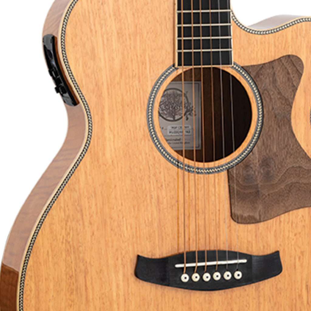 Tanglewood Reunion Pro SF C/E Flamed Mahogany Solid Spruce Top