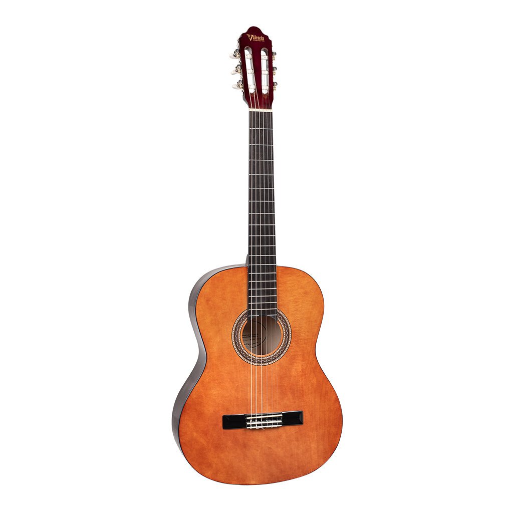 Valencia - 100 Series 4/4 Classical Pack Gloss Classical Guitars Sky Music