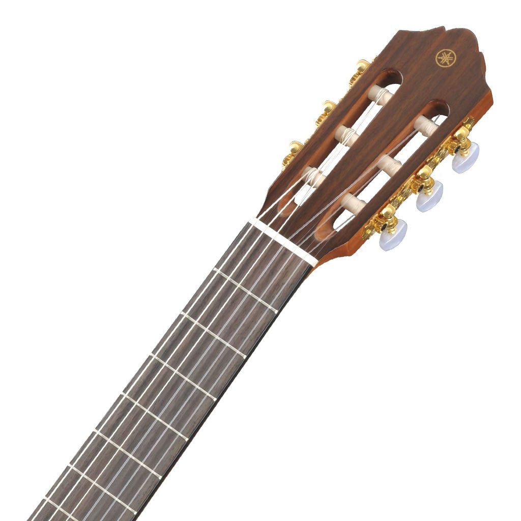 Yamaha CG162C Classical Guitar Classical Guitars Sky Music