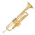 Yamaha Brass and Woodwind