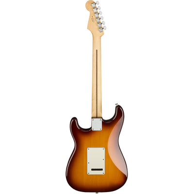 Fender Player Stratocaster Plus Top - Tobacco Sunburst - Pau Ferro Fretboard