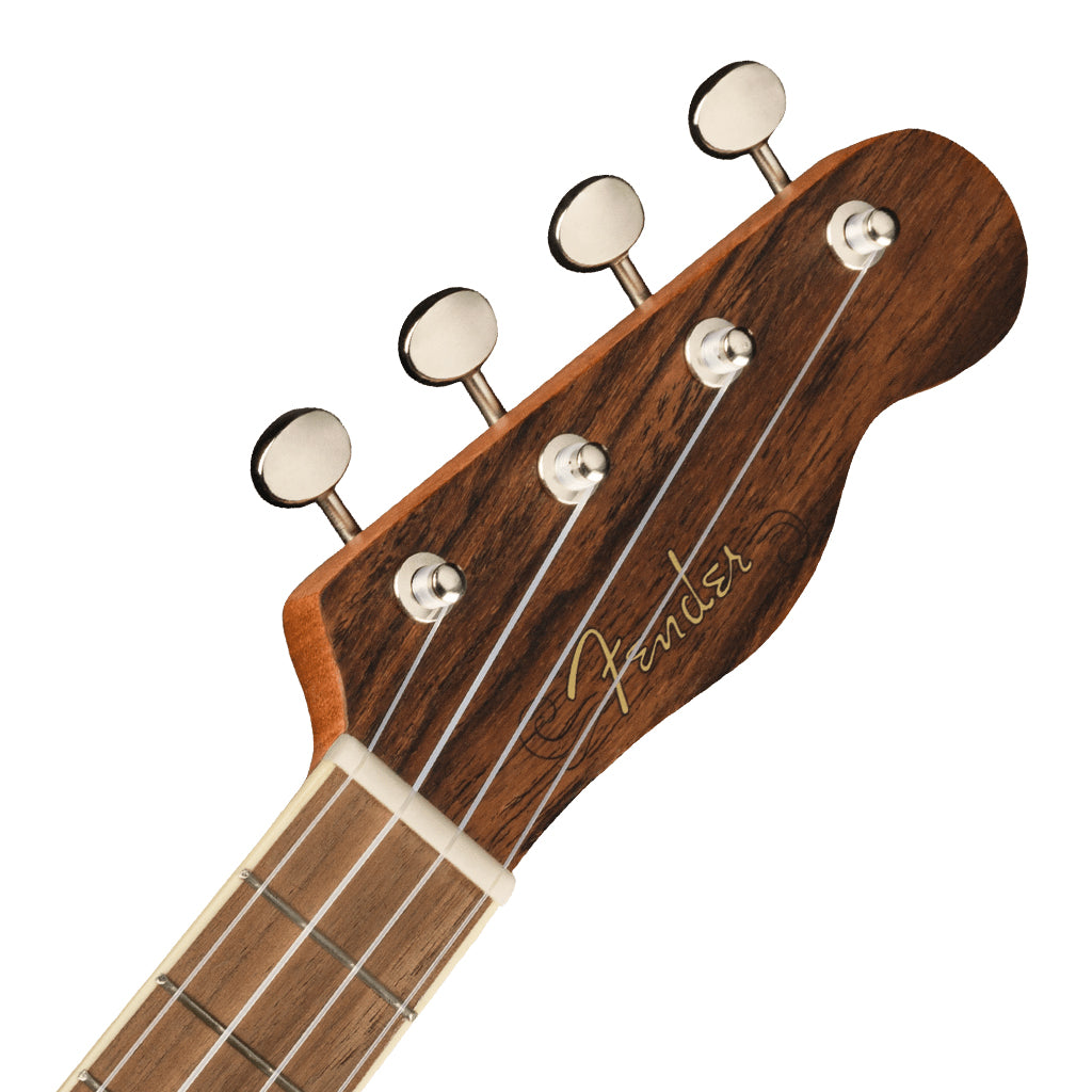 Fender  Zuma Exotic Concert Ukulele Walnut Fingerboard Bocote