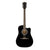 Fender FA 125CE Dreadnought Walnut Fingerboard Black