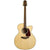 Takamine GJ72CENAT Jumbo - Natural