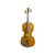 Stentor Student I 1/4 Size Violin - Mid Chestnut