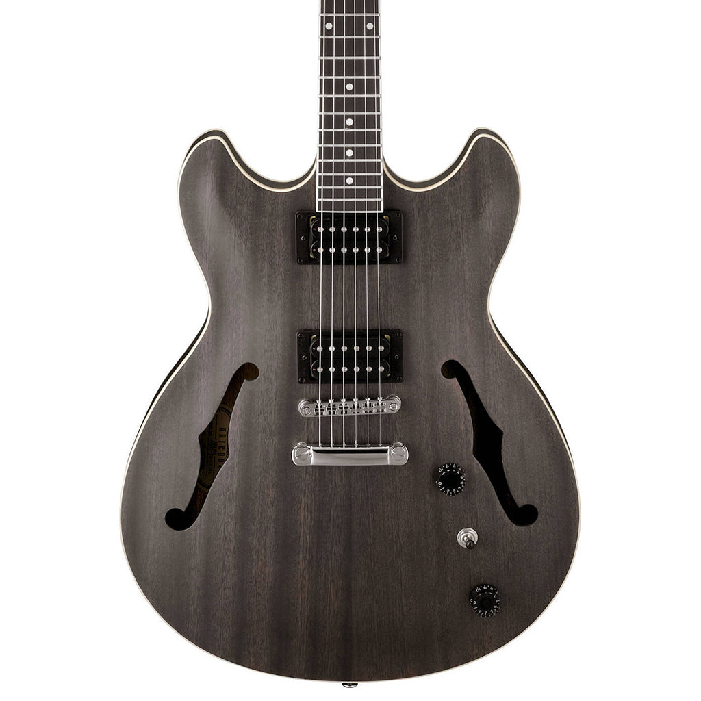 Ibanez AS AFS - hardcase add ons