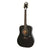 Epiphone PRO-1 - Ebony-Sky Music