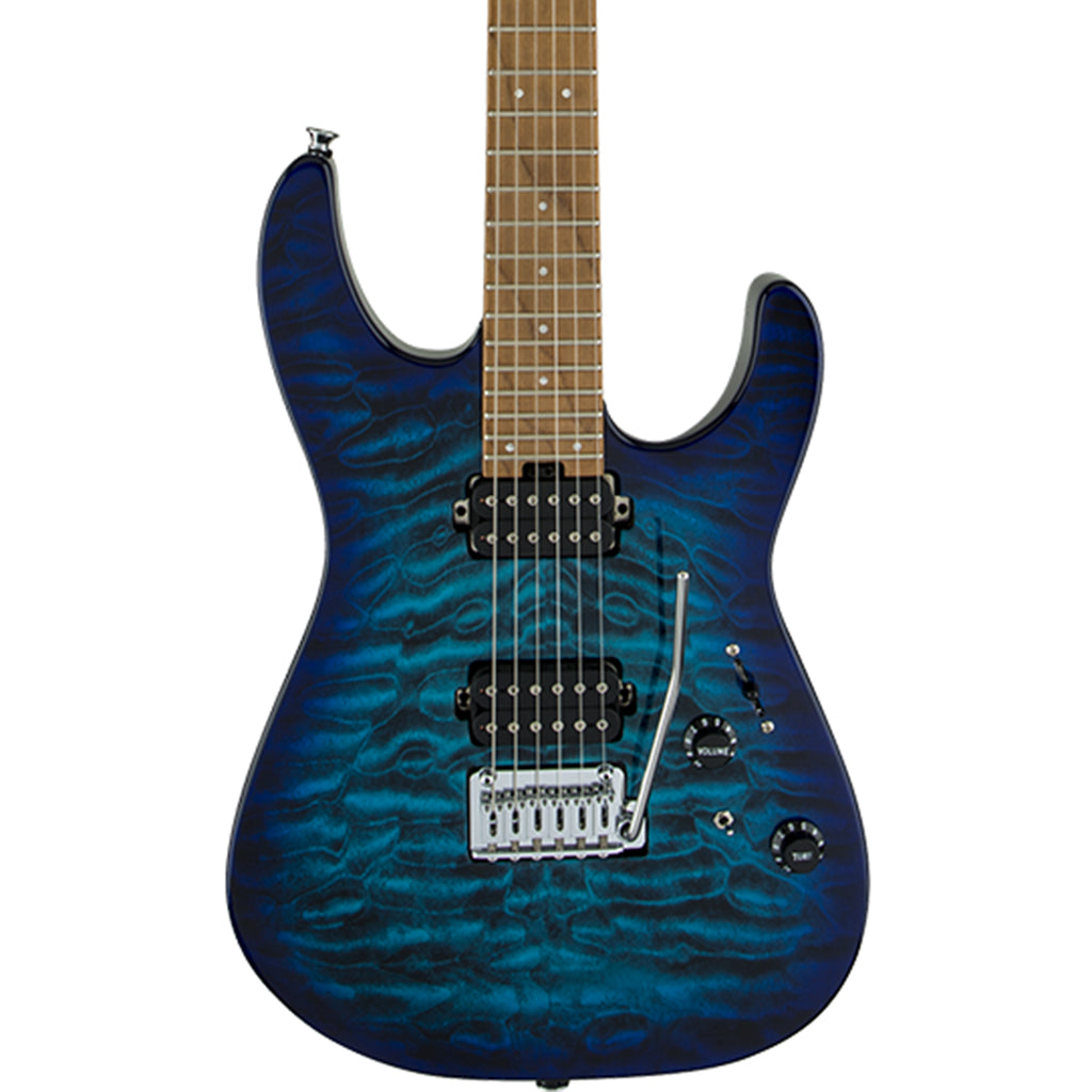 Charvel pro Mod - case add ons