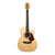 Maton EBG808C Michael Fix Acoustic