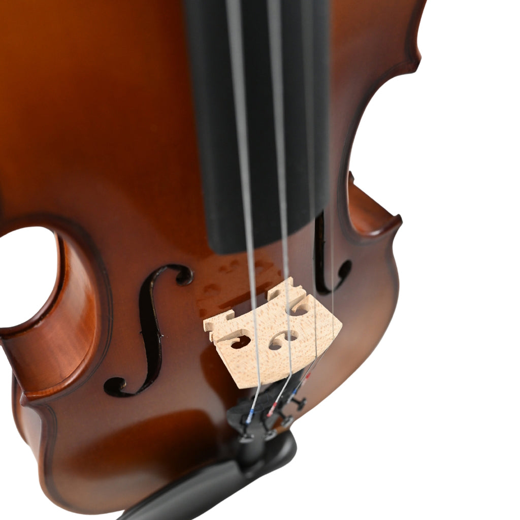 Knight - HDV21 4/4 Size Student Violin with bow and foam case