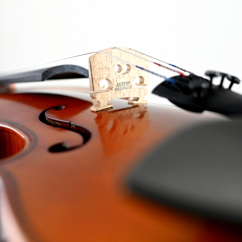 Knight - HDV21 4/4 Size Student Violin with bow and foam case