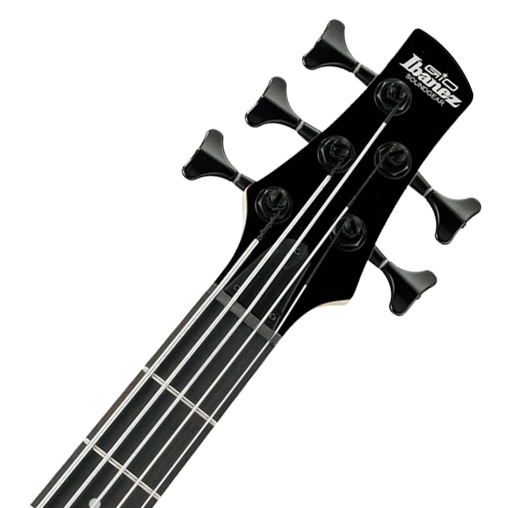 Ibanez GSR205SM Natural Grey Burst