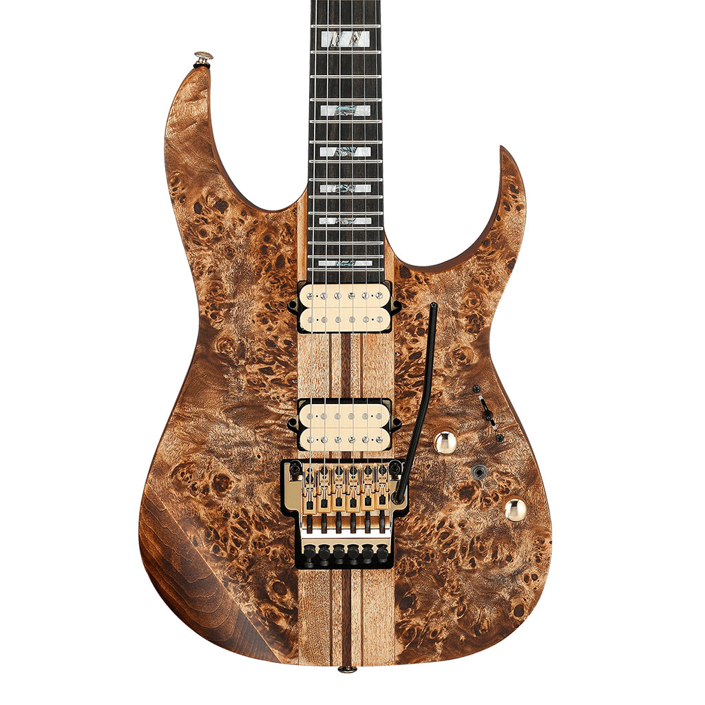 Ibanez RGT1220PB Premium Antique Brown Stained
