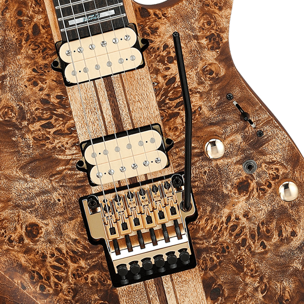 Ibanez RGT1220PB Premium Antique Brown Stained