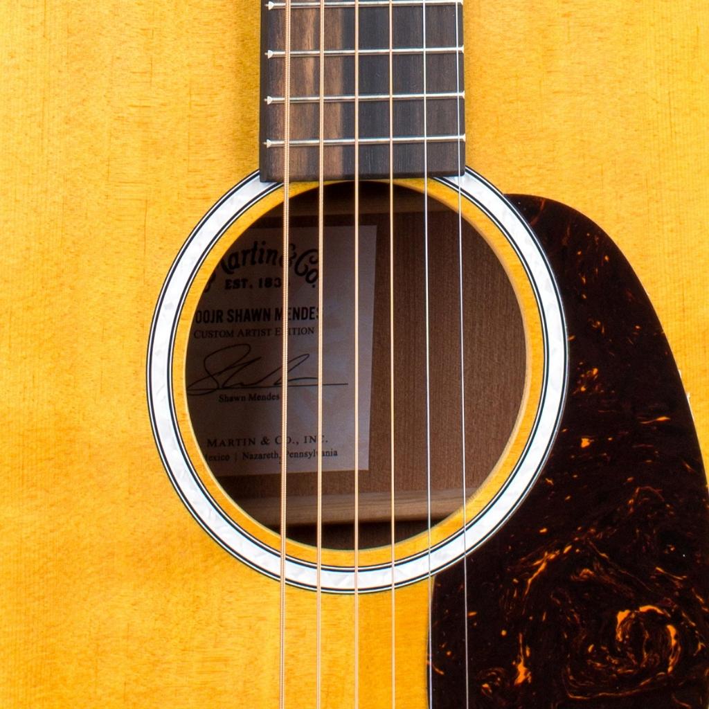 Martin 000JR-10E Shawn Mendes Custom Signature Edition-Sky Music