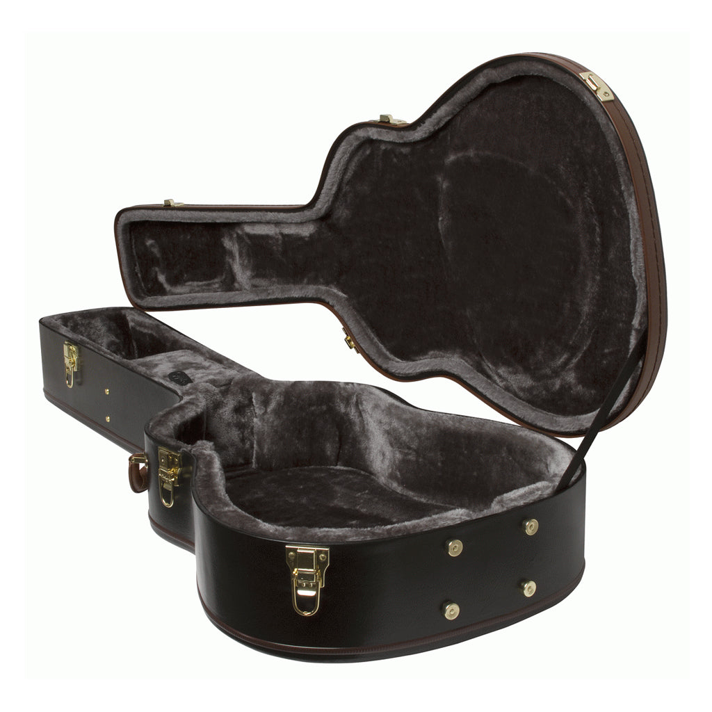 Epiphone Acoustic AJ Dreadnought Hard Case