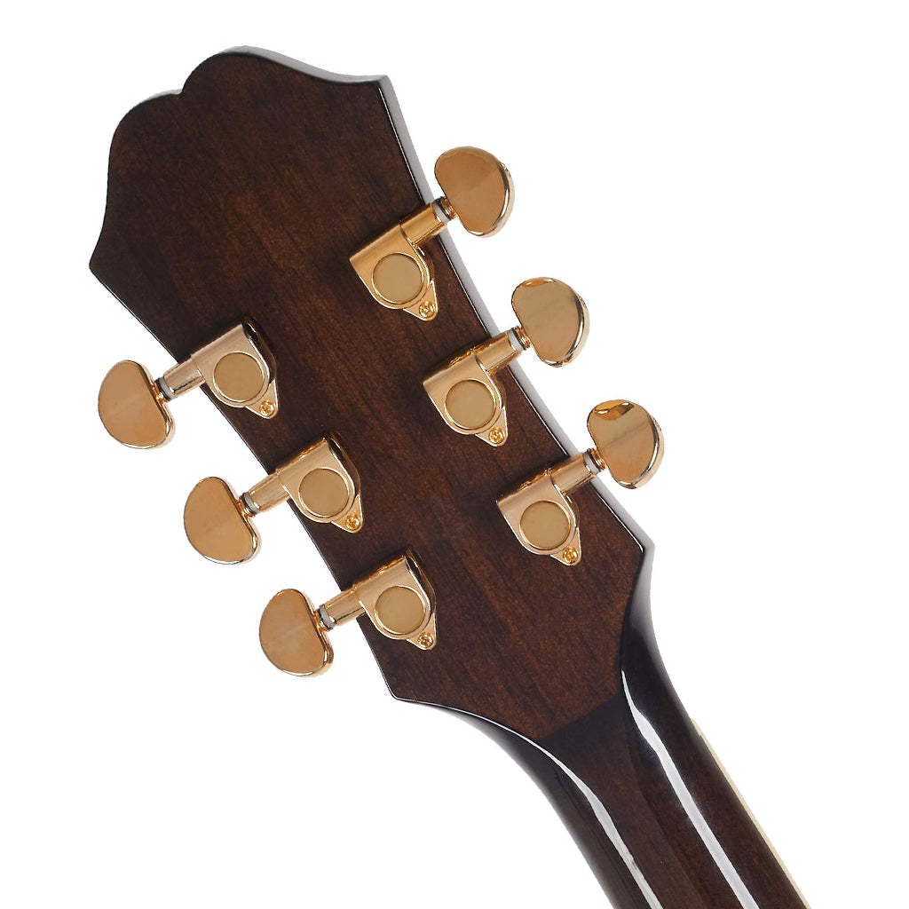 Epiphone Performer PR5E Fishman PreSysII Natural