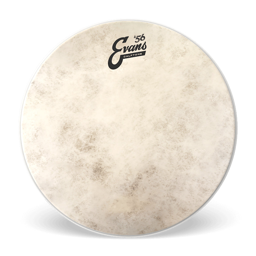 Evans - 12" - Calftone