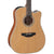 Takamine GD20CE Dreadnought Acoustic Guitar