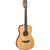 Takamine CP400NYK Acoustic Guitar