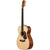 Maton EBG808 Artist Acoustic Guitar